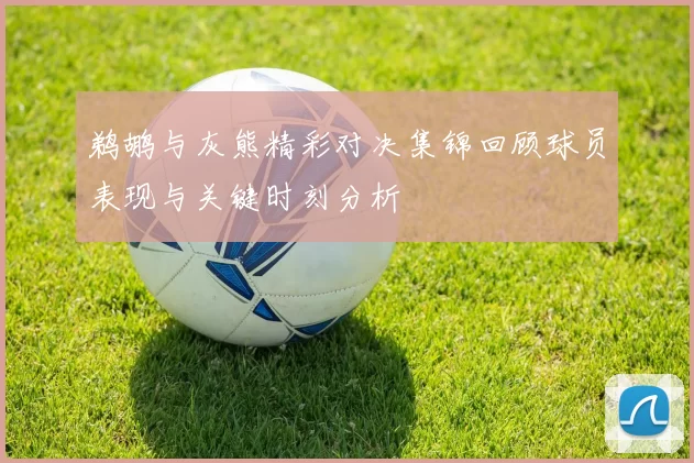 鹈鹕与灰熊精彩对决集锦回顾球员表现与关键时刻分析